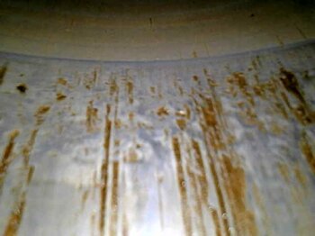 20241204_115825.jpg