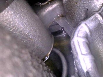 20250115_111041.jpg