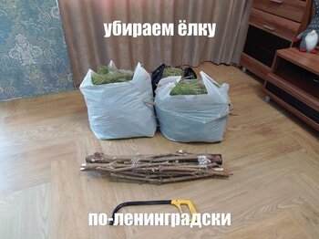 84.jpg