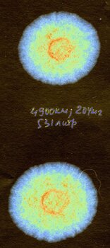 4900км_пила.jpg