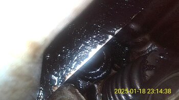 IMG-20250118-WA0010.jpg