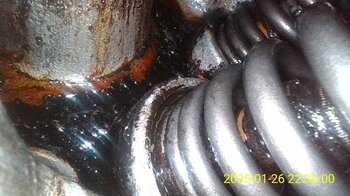 IMG_20250126_224502_140.jpg