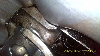 IMG_20250126_224502_560.jpg