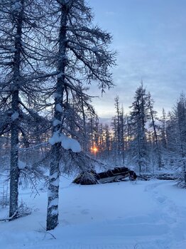 IMG_5298.jpeg