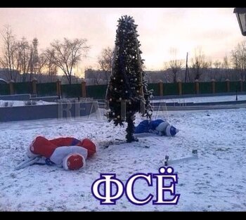 IMG_7728.jpeg
