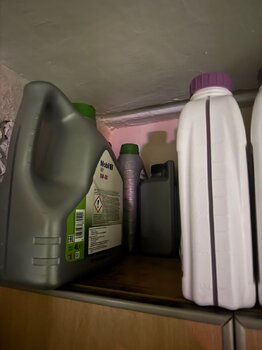 IMG_8614.jpeg