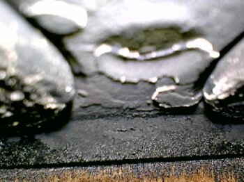 20220803_124910.jpg
