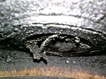20220806_134703.jpg
