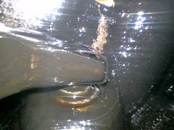 20250201_133013.jpg