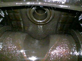20250205_130926.thumb.jpg.2bb1a87c276d217e7d66ac4327bb2cde.jpg