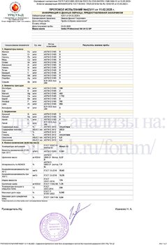 Sintec Professional 0W-30 C2 API SP URC копия.jpg