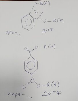 DOPH-DOTPH.jpg