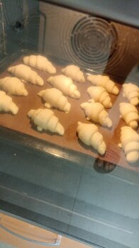 IMG-20250128-WA0014.jpeg