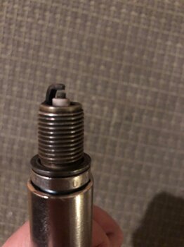 IMG_8271.jpeg