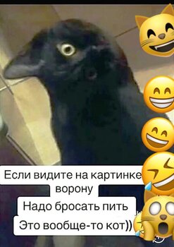 a5e8c513-0a6d-45c7-b651-d3689cfd9afe.jpeg