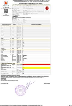 Протокол испытаний № 171_8 от 04.03.2025 (1) копия.jpg