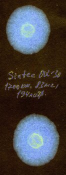 1700км83мчпила.jpg
