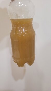 20250331_073234.jpg