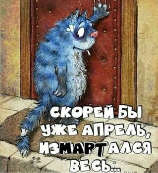 5.jpeg