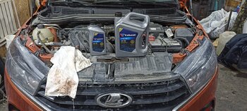 IMG_20250308_102446.jpg