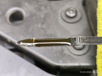 IMG_20250313_084412.jpg