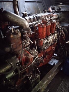IMG_20250325_084934.jpg