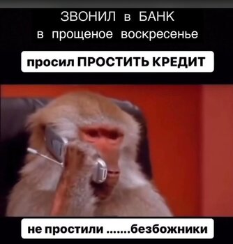 IMG_8313.jpeg