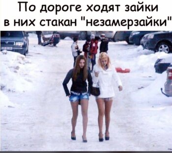 IMG_8571.jpeg