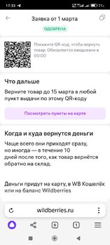 Screenshot_2025-03-01-17-33-32-237_com.yandex.browser.jpg