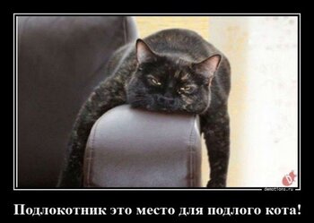 1743753234_demotivatory-1.jpg