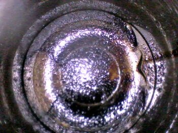20250407_121201.jpg