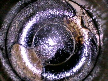 20250407_121216.jpg