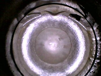 20250408_171801.jpg
