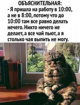 44.jpg