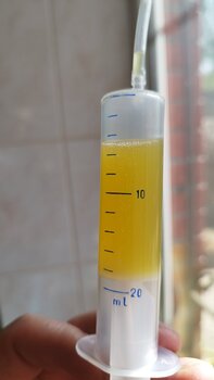 IMG_20250424_150300.jpg