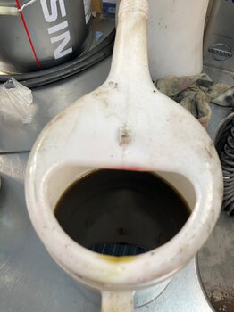 IMG_3724.jpeg