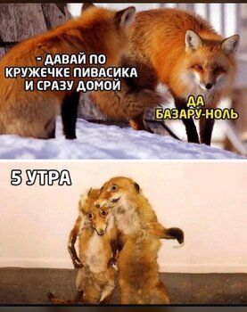 IMG_8636.jpeg