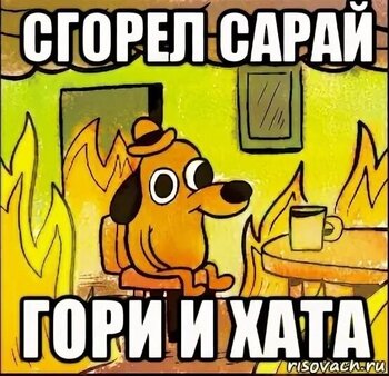 -1KIbqRHqJY.jpg