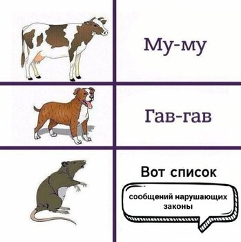1748000009128.jpg