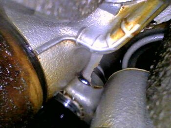 20250526_152914.jpg