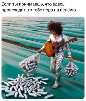 233125796_.thumb.jpg.8f765d16b0d87abc4ce0f8be3a10eb46.jpg