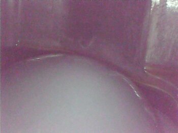 250515_145222.thumb.jpg.98d24af342803d18383518010691a5c7.jpg