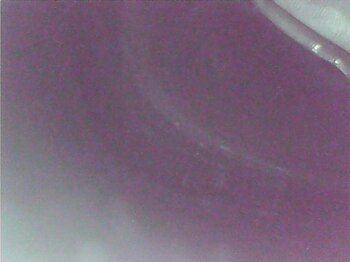 250515_145259.thumb.jpg.2ce6ad2cc5386a8b39937a6e0420e109.jpg