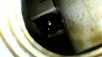 280596121_WhatsAppImage2025-05-10at21_10.05(1).thumb.jpeg.0dde463fb5e943cb901b71214b6fe6c2.jpeg