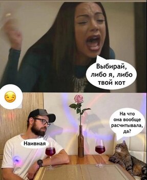 447059_original.jpg