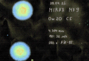 02 пила (3).png