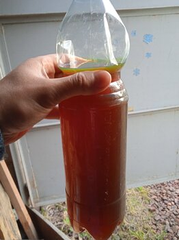 IMG_20250503_065720_1.jpg