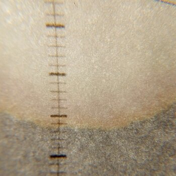 IMG_20250507_180822.thumb.jpg.300d2a0846016bb473fc3cfd4adbf96e.jpg