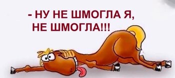 IMG_20250521_093956.jpg