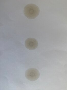 IMG_5429.jpeg